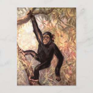 Carte Postale Chimpanzé par CE Swan, Animaux sauvages de la jung