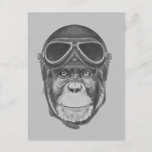 Carte Postale Chimpanzé vintage