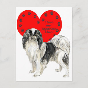 Carte Postale Chin_japonais