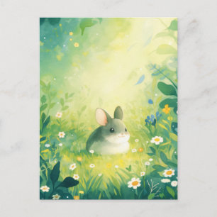 Carte Postale Chinchilla Assis Dans Une Prairie Verte Ensoleillé