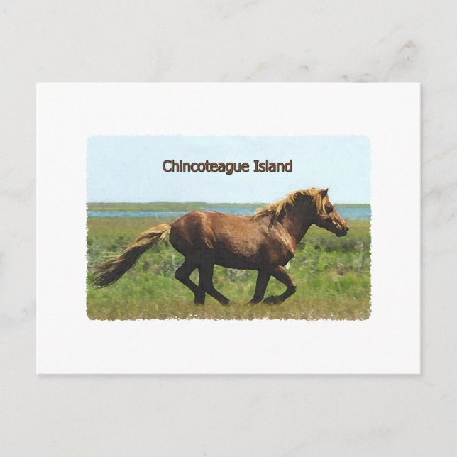 Carte Postale Chincoteague Island (logo de l'étalon en marche) (Devant)