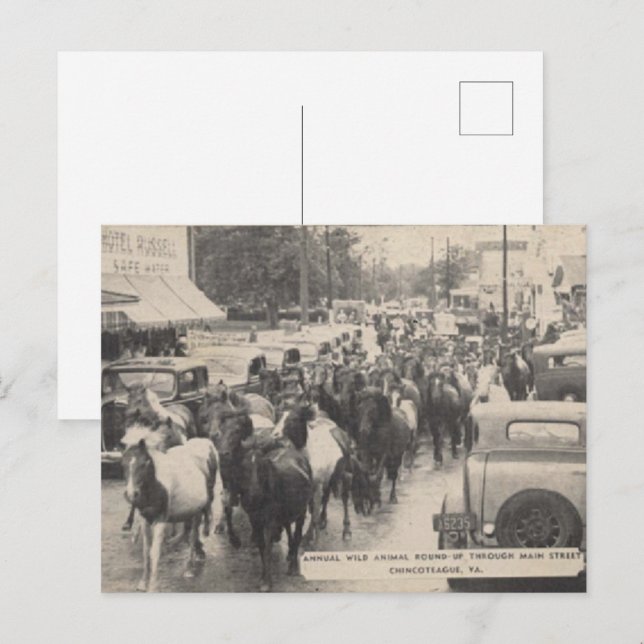 Carte postale Chincoteague Pony Vintage 1941 (Devant / Derrière)