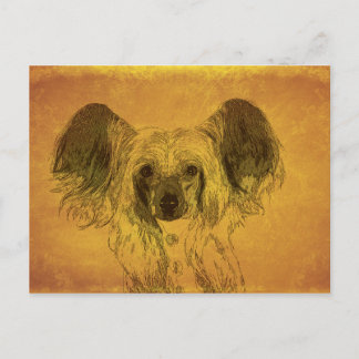 Carte Postale Chinois Portrait à crête, jaune