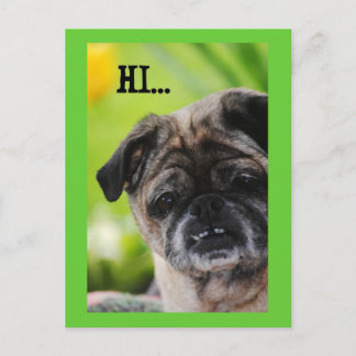 Carte postale chinoise Carlin Dog Hi