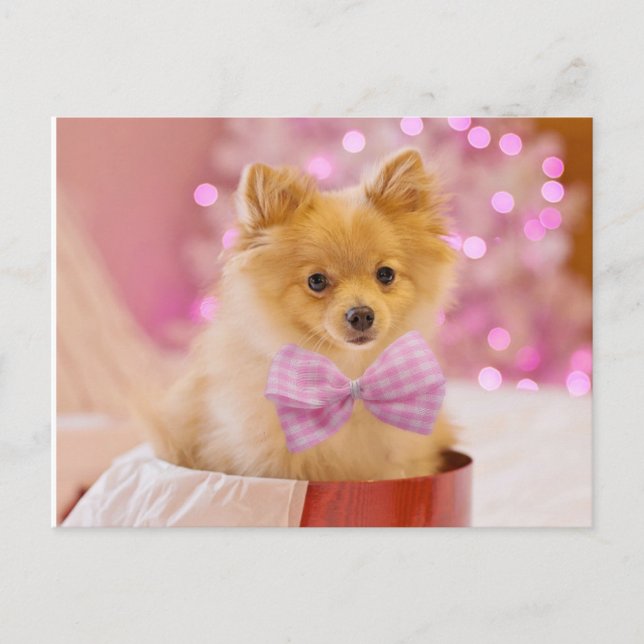 Carte Postale Chiot avec bow (Devant)