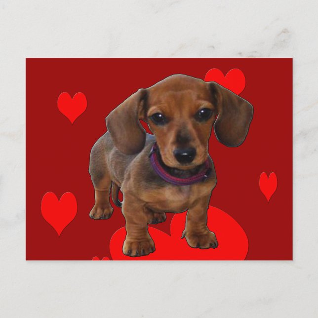 Carte Postale Chiot avec coeur (Devant)