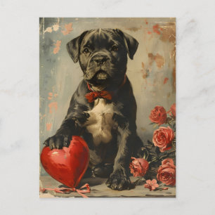 Carte Postale Chiot de Cane Corso vintage Saint Valentin