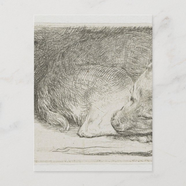 Carte Postale Chiot dormant par Rembrandt (Devant)