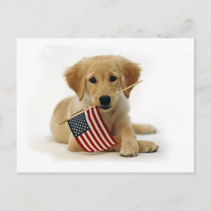 Carte Postale Chiot et drapeau Golden Retriever