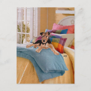 Carte Postale Chiots Airedale, Lakeland ou Welsh Terrier