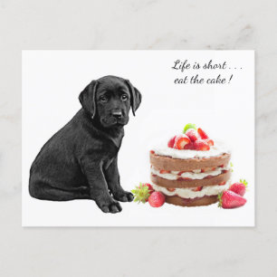 Carte Postale Chiots Black Lab - Anniversaire de Chien - Gâteau 