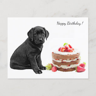 Carte Postale Chiots Black Lab - Joyeux Anniversaire Chien - Lab
