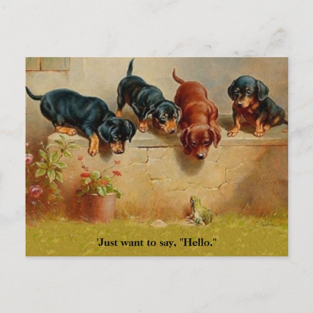 Carte Postale Chiots de Dachshund, Grenouille, Bonjour alt art V (Devant)