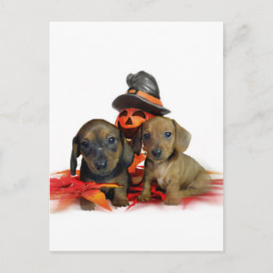 Carte Postale Chiots d'Halloween Dachshund