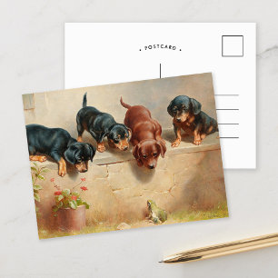 Carte Postale Chiots teckel curieux   Carl Reichert