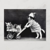 Carte postale Chiots vintages et chatons