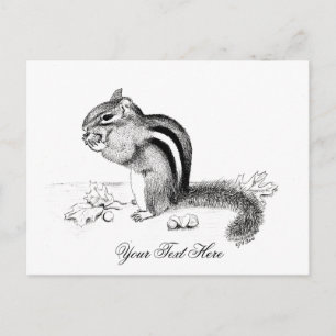 Carte postale Chipmunk