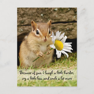 Carte Postale Chipmunk bébé adorable avec citation d'amitié