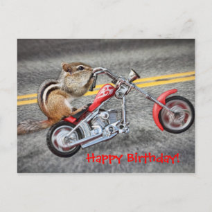 Carte Postale Chipmunk Biker équitation d'une moto