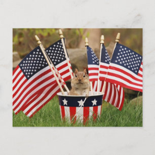 Carte Postale Chipmunk patriotique