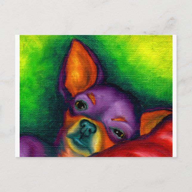 Carte Postale Chiwawa coloré (Devant)