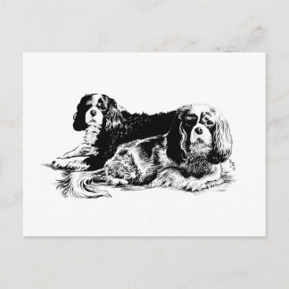 Carte postale Chloe et Ollie