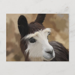 Carte Postale Chocolat et Alpaca blanc