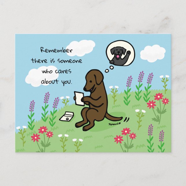 Carte Postale Chocolat Labrador et lettre Personne ne s'occupe (Devant)