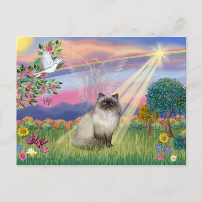 Carte Postale Chocolat Point Himalaya Chat - Angel Cloud (Devant)