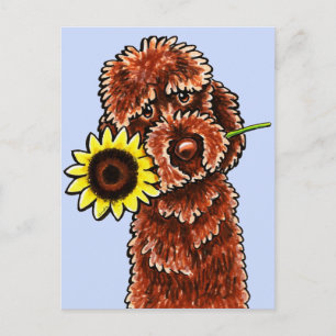 Carte Postale Chocolat solaire Labradoodle Off-Leash Art™