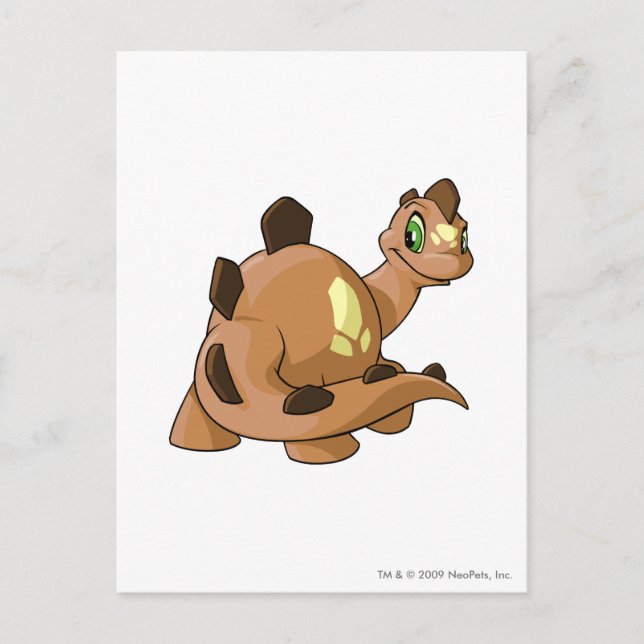 Carte Postale Chomby Brown (Devant)