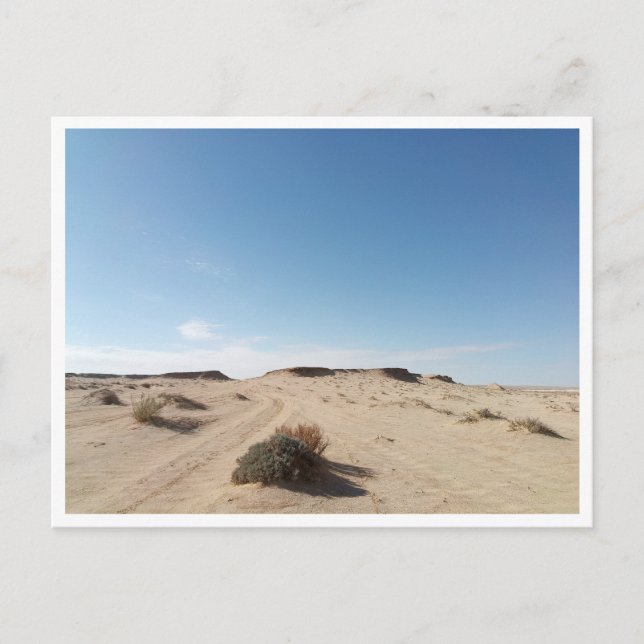 Carte Postale Chott el Gharsa (Tunisie) (Devant)