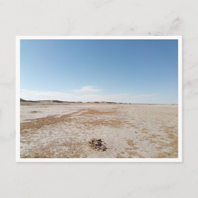 Carte Postale Chott el Gharsa (Tunisie) (Devant)