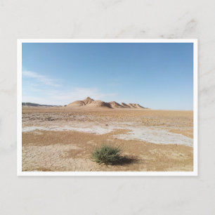 Carte Postale Chott el Gharsa (Tunisie)