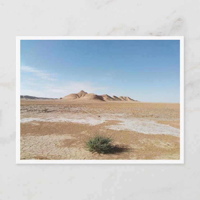 Carte Postale Chott el Gharsa (Tunisie) (Devant)
