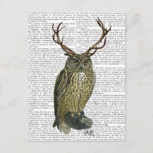 Carte Postale Chouette avec Antlers plain 2