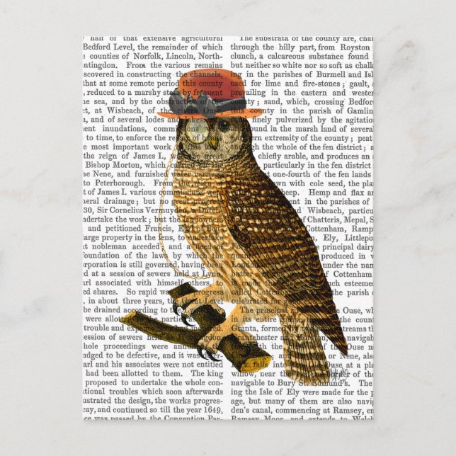 Carte Postale Chouette avec Casquette Bowler style Steampunk (Devant)