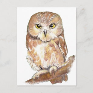 Carte Postale Chouette blanche, Aquarelle, collection d'oiseaux