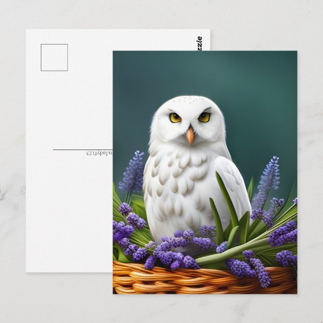 Carte Postale Chouette blanche en Lavande, poste (Devant / Derrière)