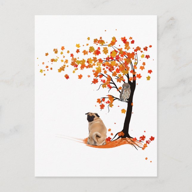 Carte Postale Chouette carlin Et Arbre Automne Propriétaire Carl (Devant)