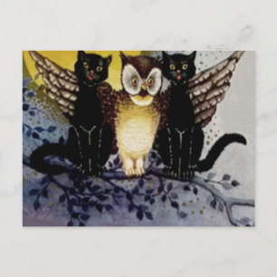 Carte Postale Chouette Chat Noir Pleine Lune Arbre Nuit