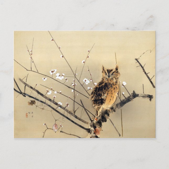 Carte Postale Chouette de Goun aux premières fleurs de prune (Devant)