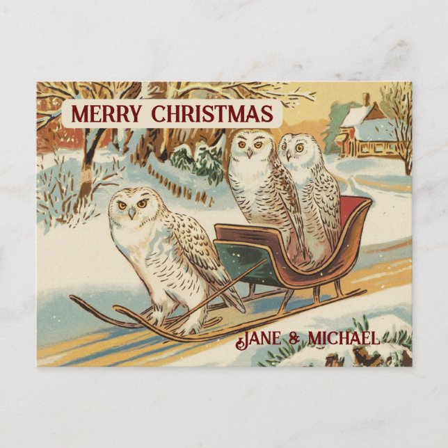 Carte Postale Chouette des neiges Joyeux Nom de Noël (Devant)