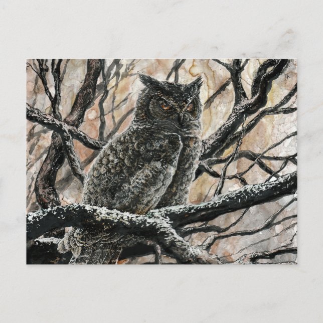 Carte Postale Chouette d'hiver (Devant)