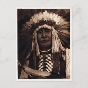 Carte Postale Chouette jaune