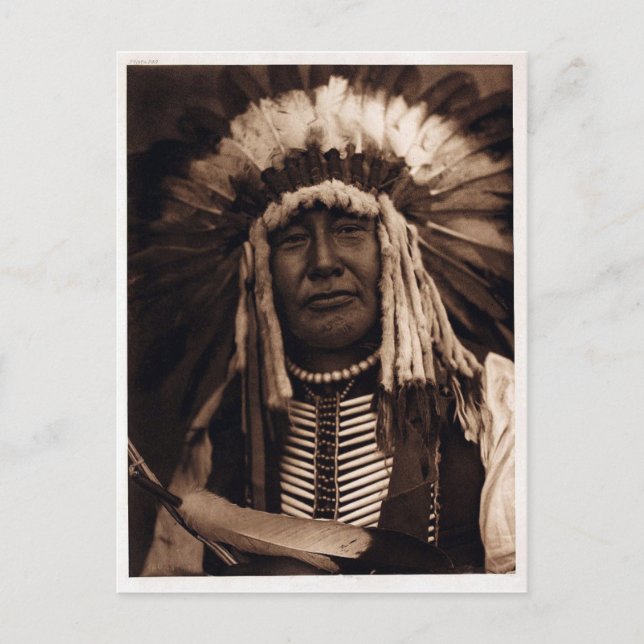 Carte Postale Chouette jaune (Devant)