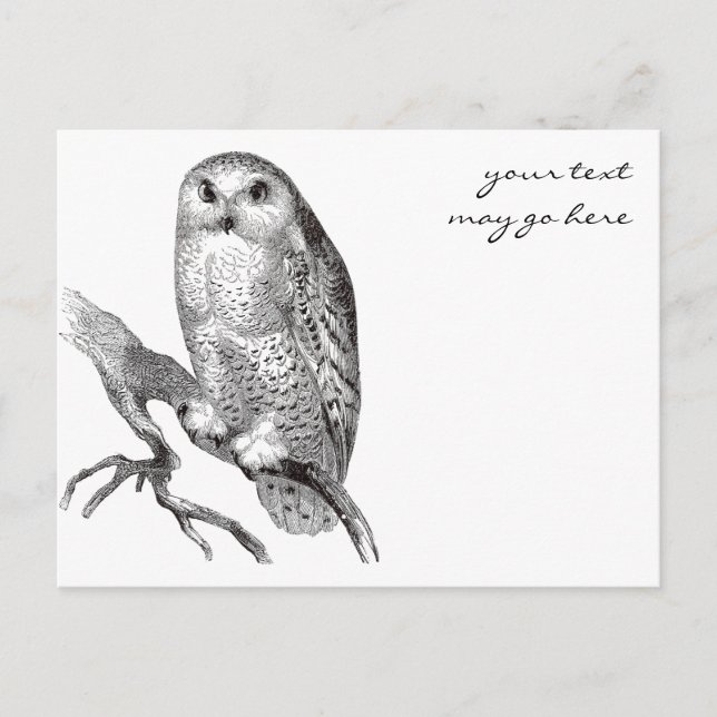 Carte postale Chouette neige vintage (Devant)