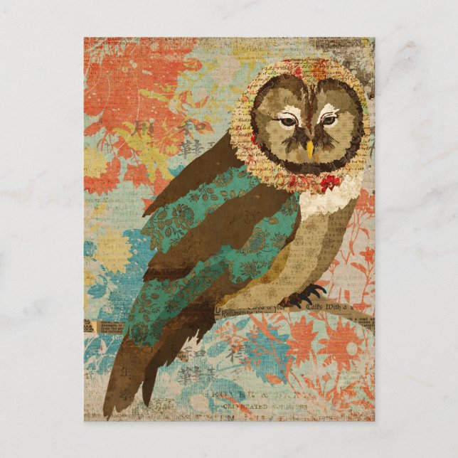 Carte postale Chouette turquoise (Devant)