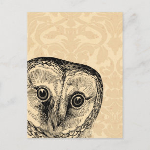 Carte Postale Chouette Vintage mignonne en noir sur Tan Damask