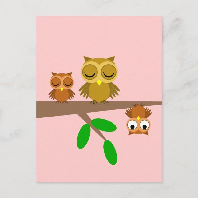 Carte Postale chouettes mignonnes et drôles (Devant)